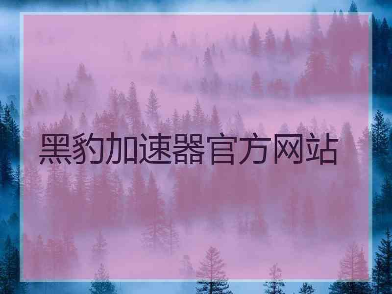 黑豹加速器官方网站