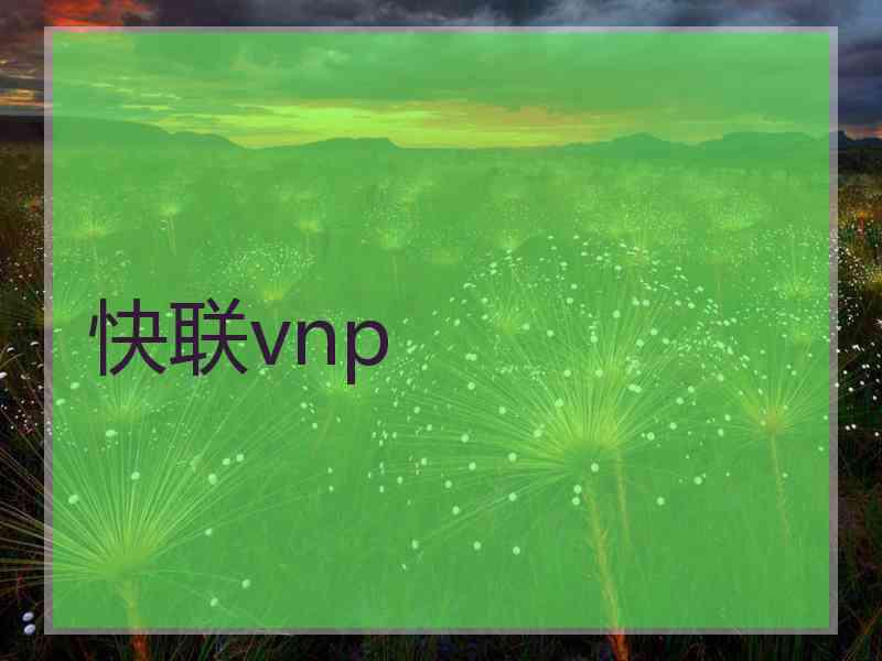 快联vnp