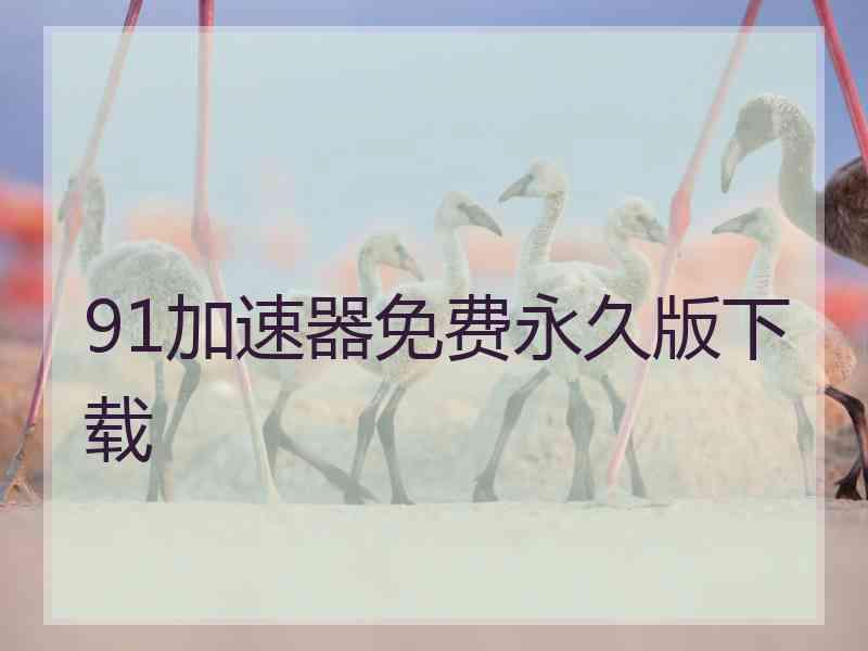 91加速器免费永久版下载