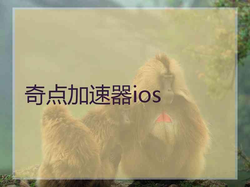 奇点加速器ios