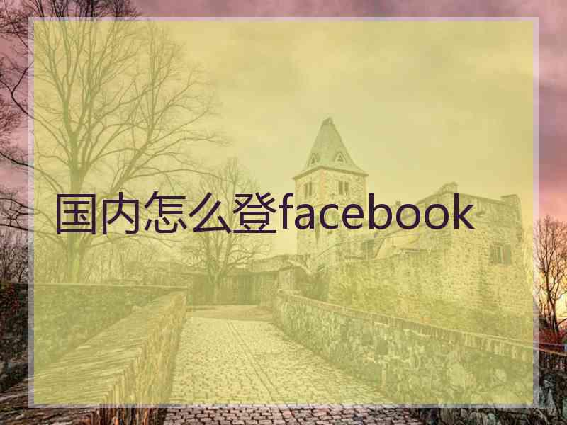 国内怎么登facebook