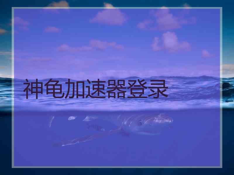 神龟加速器登录