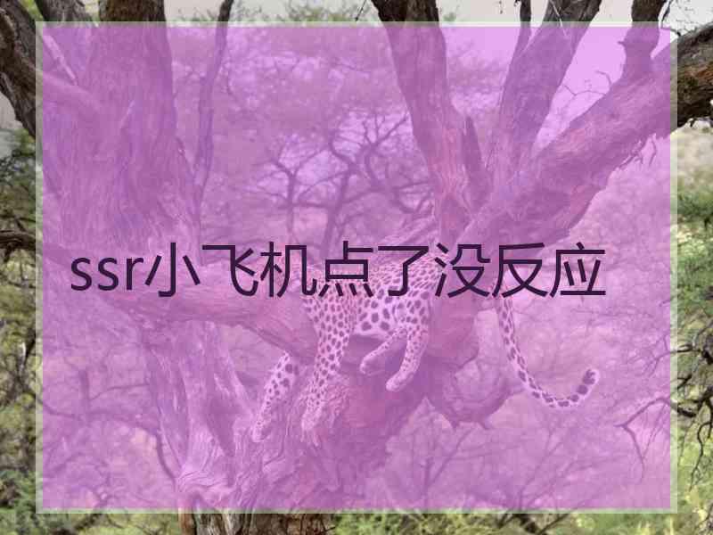 ssr小飞机点了没反应