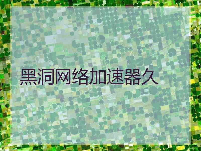 黑洞网络加速器久
