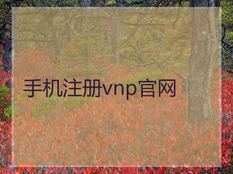 手机注册vnp官网