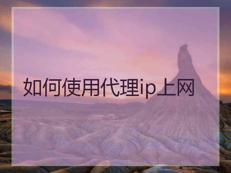如何使用代理ip上网