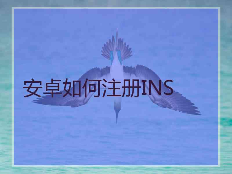 安卓如何注册INS