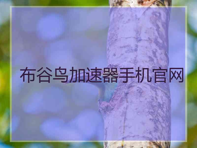 布谷鸟加速器手机官网