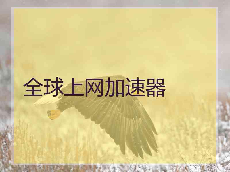 全球上网加速器