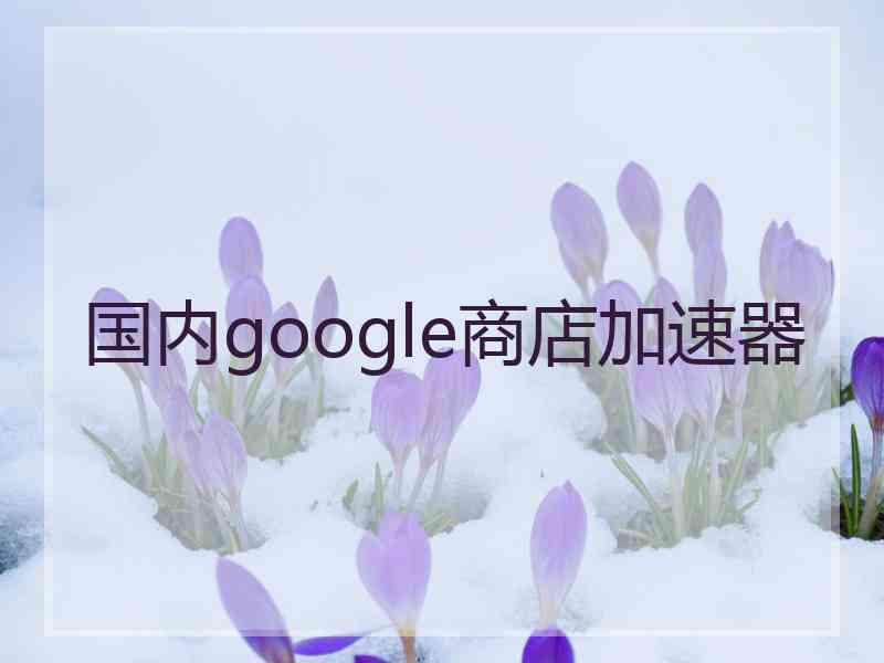 国内google商店加速器