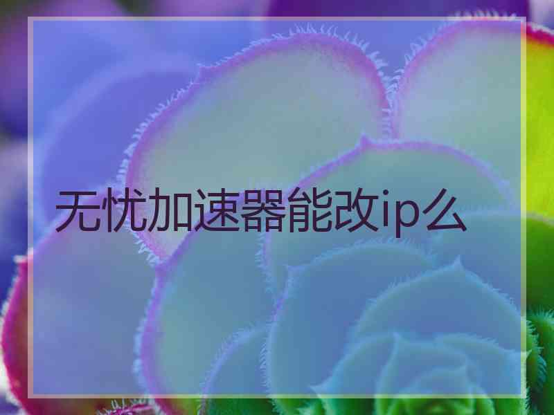 无忧加速器能改ip么