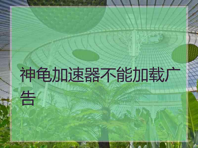 神龟加速器不能加载广告