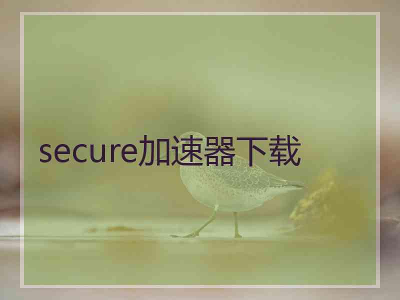 secure加速器下载