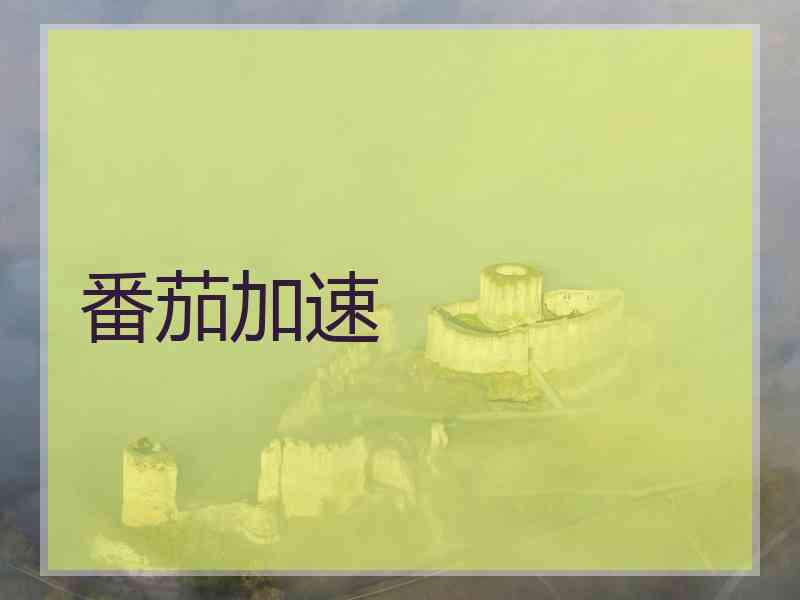 番茄加速