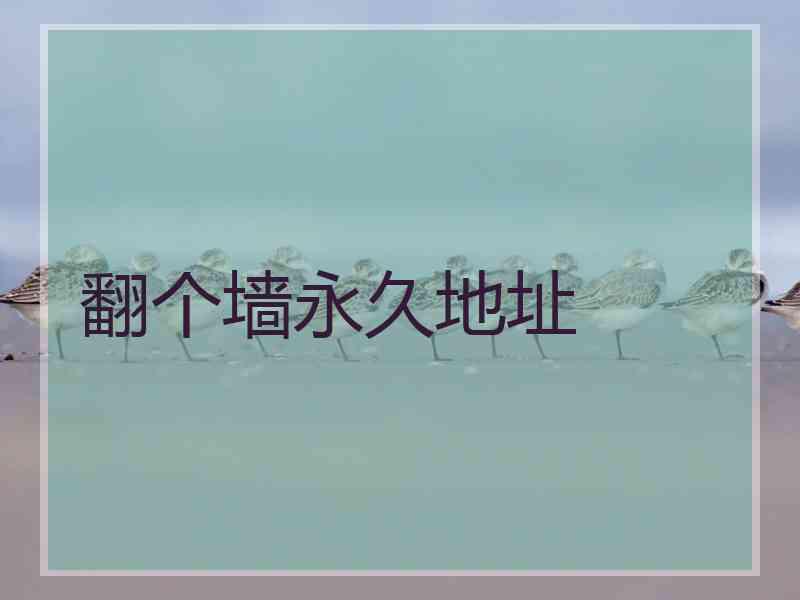 翻个墙永久地址