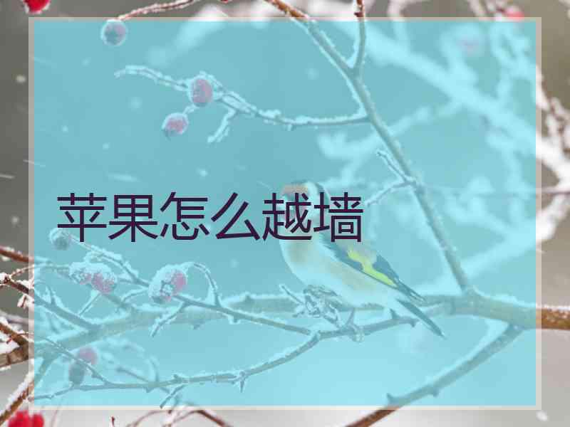 苹果怎么越墙