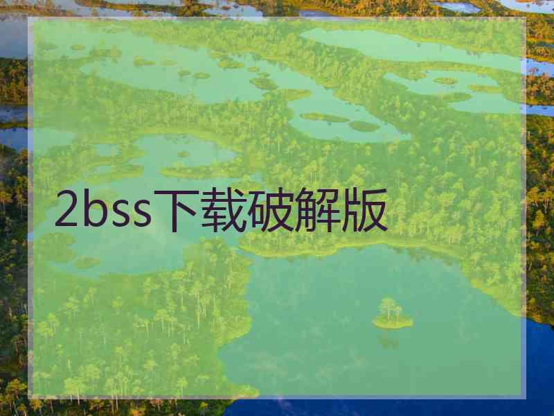 2bss下载破解版