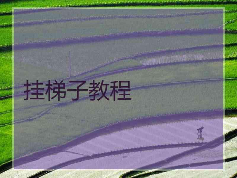 挂梯子教程
