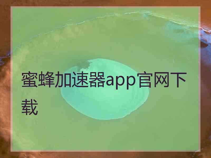 蜜蜂加速器app官网下载
