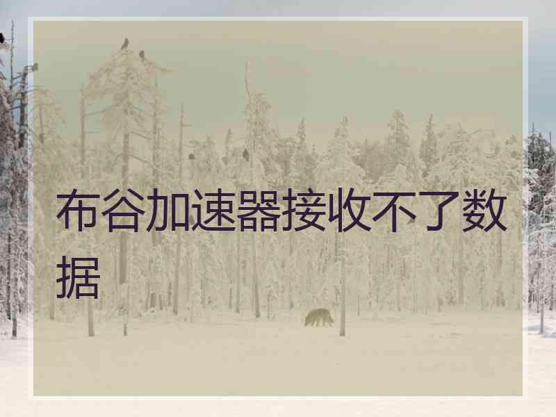 布谷加速器接收不了数据