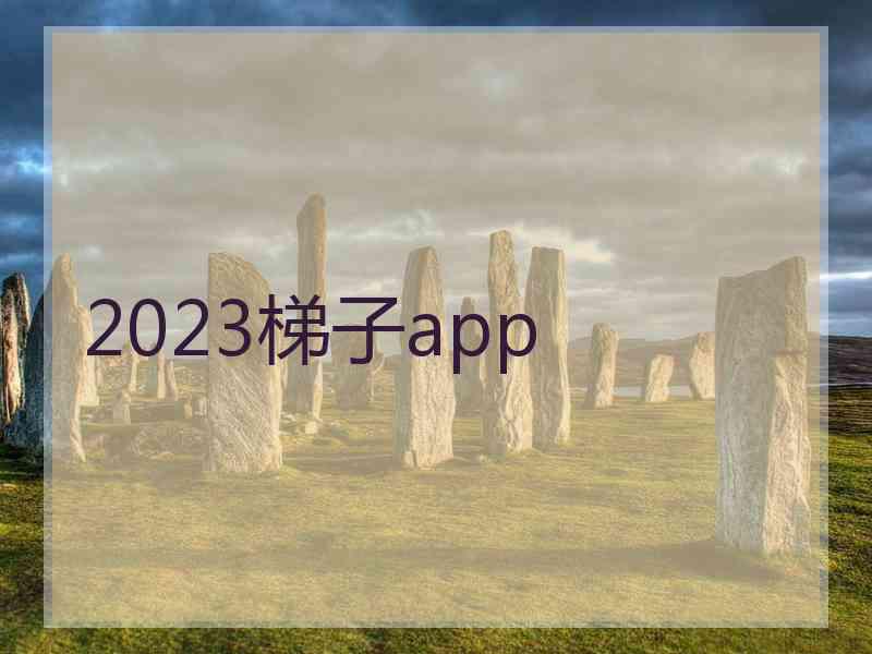 2023梯子app