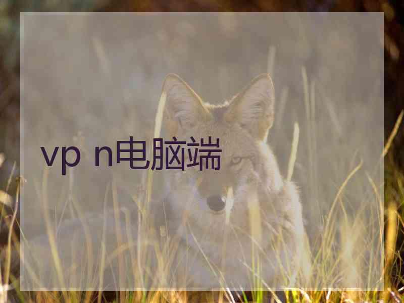 vp n电脑端