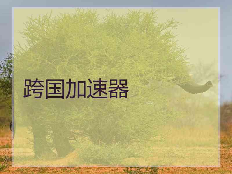 跨国加速器