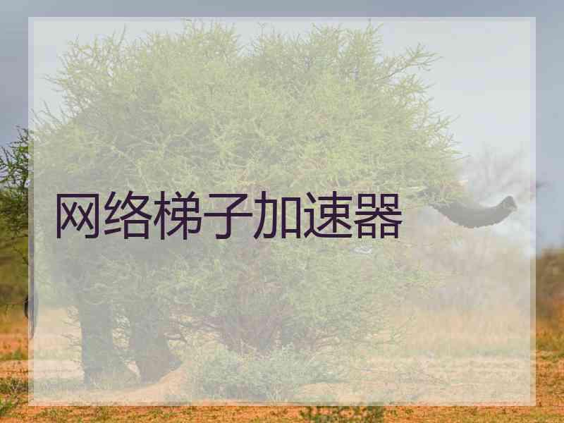 网络梯子加速器