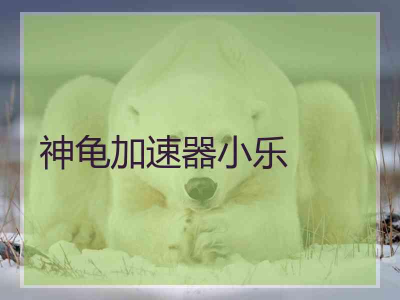 神龟加速器小乐