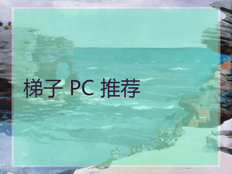 梯子 PC 推荐