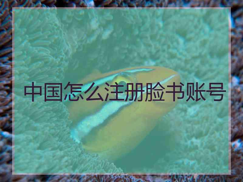 中国怎么注册脸书账号