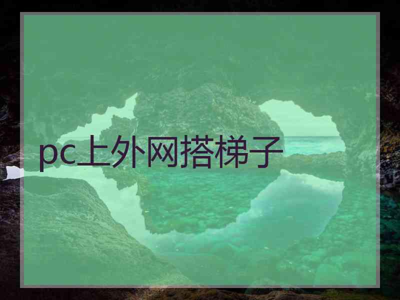 pc上外网搭梯子