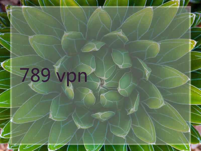 789 vpn