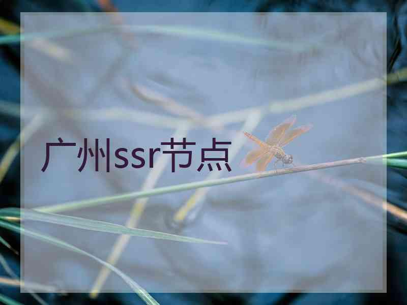广州ssr节点