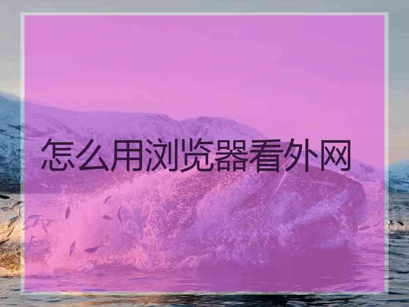 怎么用浏览器看外网