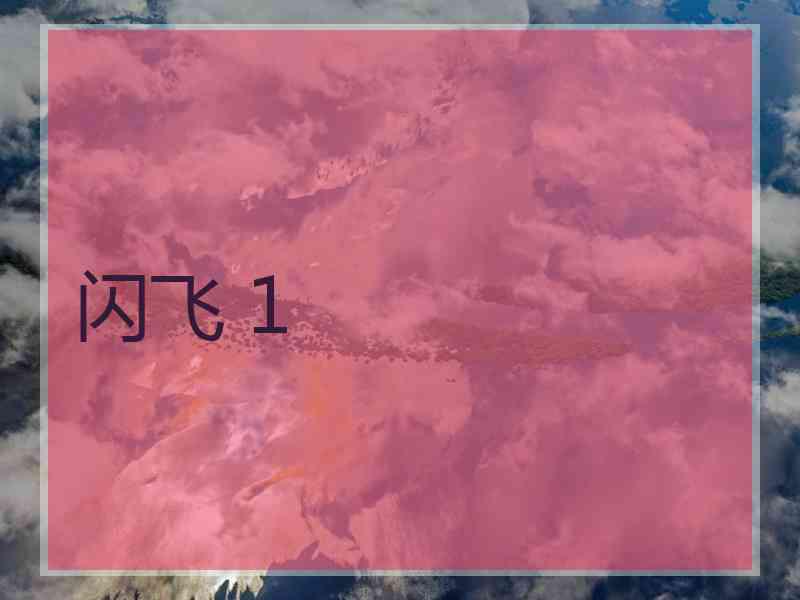 闪飞 1