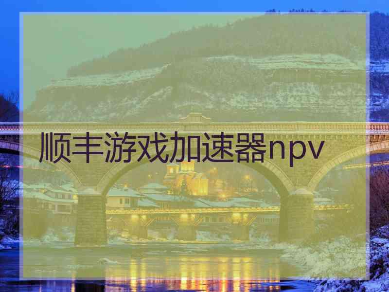 顺丰游戏加速器npv