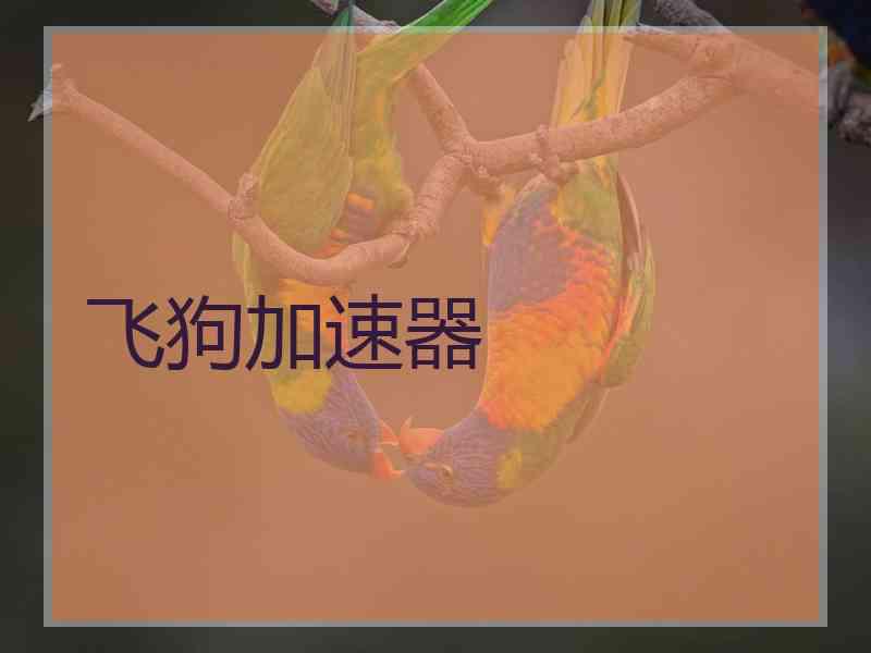 飞狗加速器