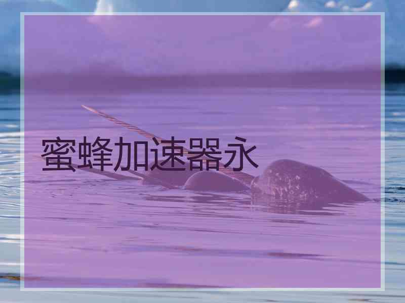 蜜蜂加速器永