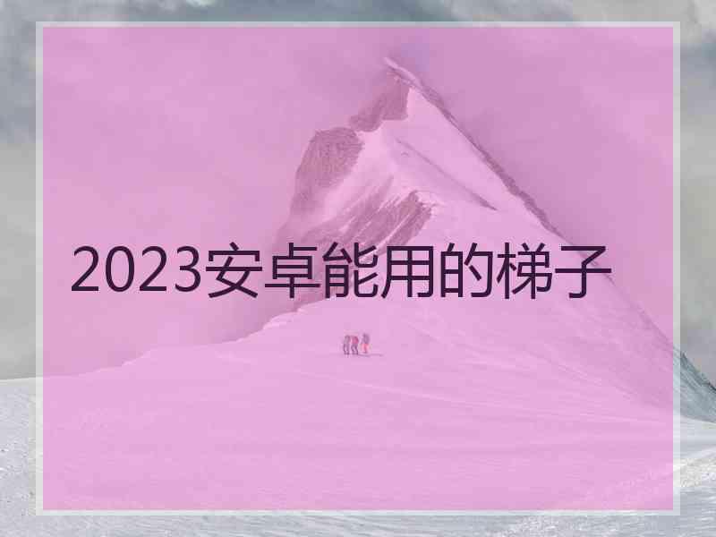 2023安卓能用的梯子