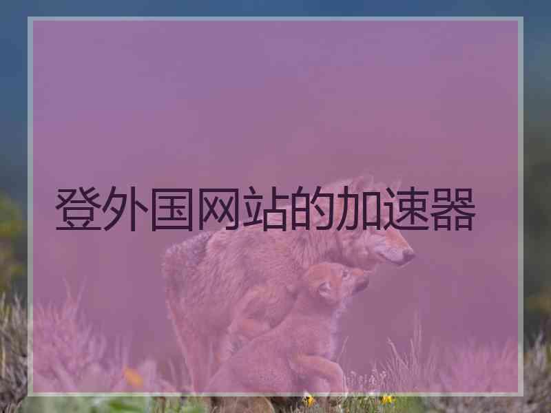 登外国网站的加速器