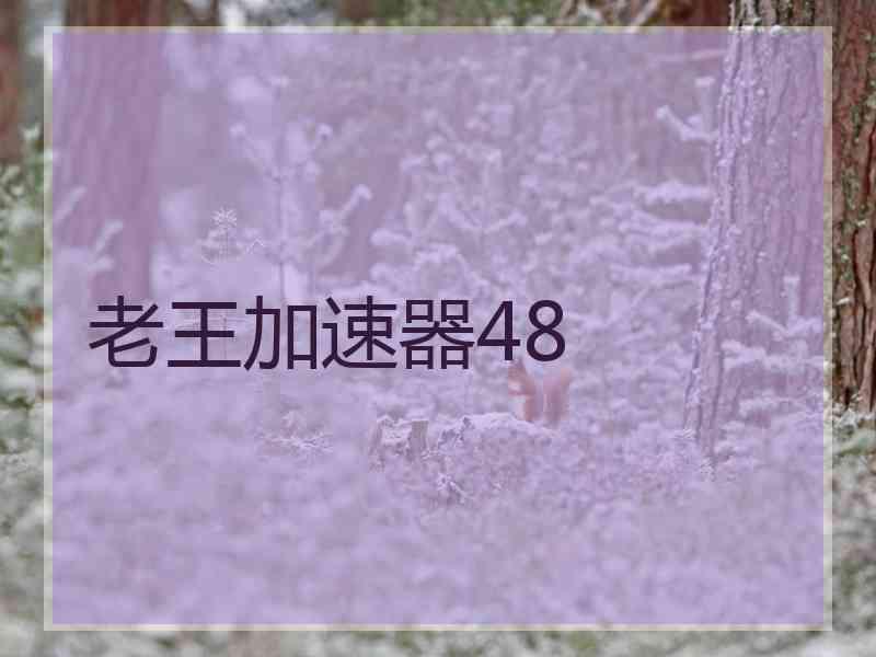 老王加速器48