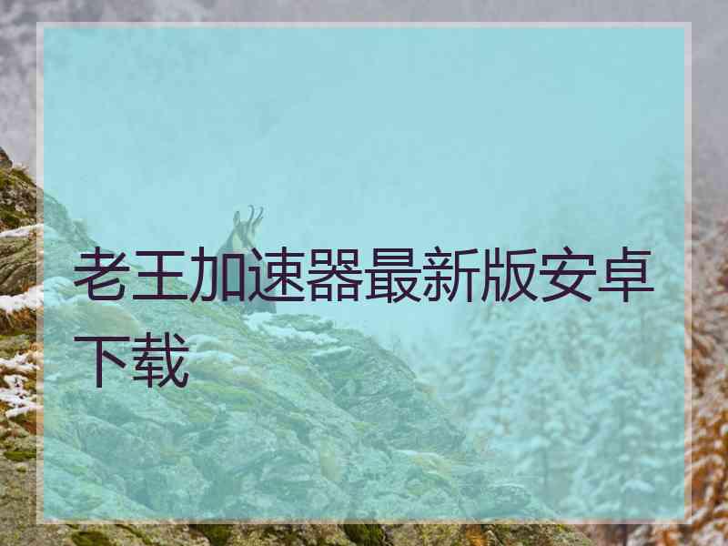 老王加速器最新版安卓下载