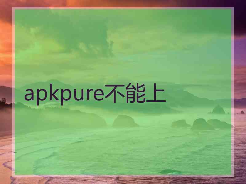 apkpure不能上