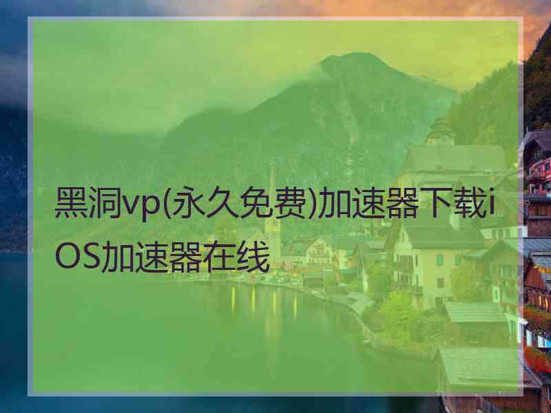 黑洞vp(永久免费)加速器下载iOS加速器在线