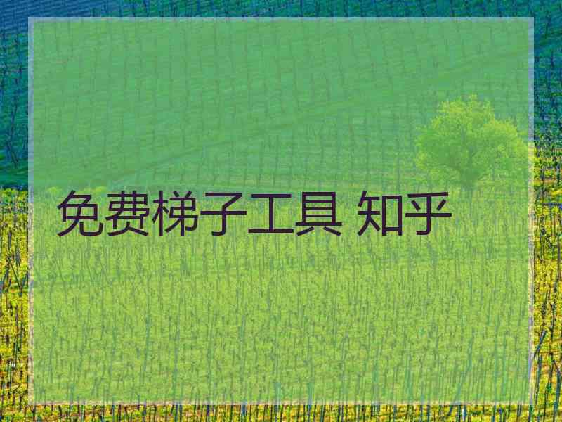 免费梯子工具 知乎