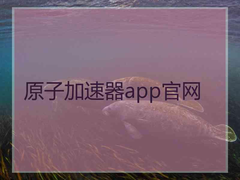 原子加速器app官网
