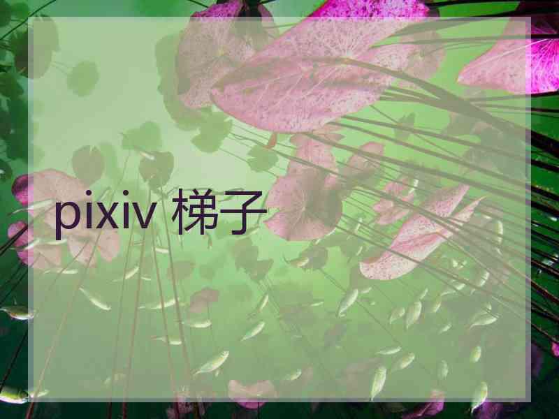 pixiv 梯子