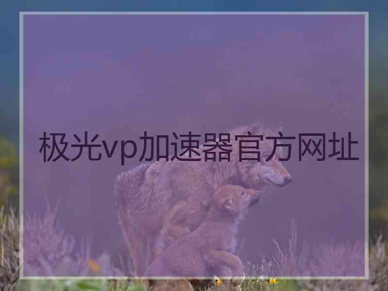 极光vp加速器官方网址
