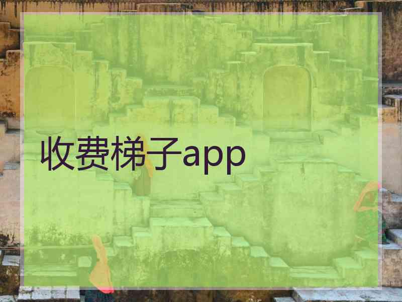 收费梯子app
